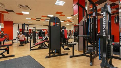 Gym Equipment 的图像结果