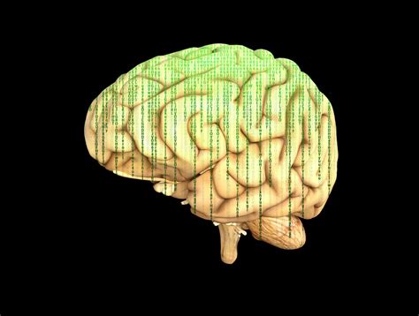 Der schnellste IQ-Test der Welt - UnserTirol24