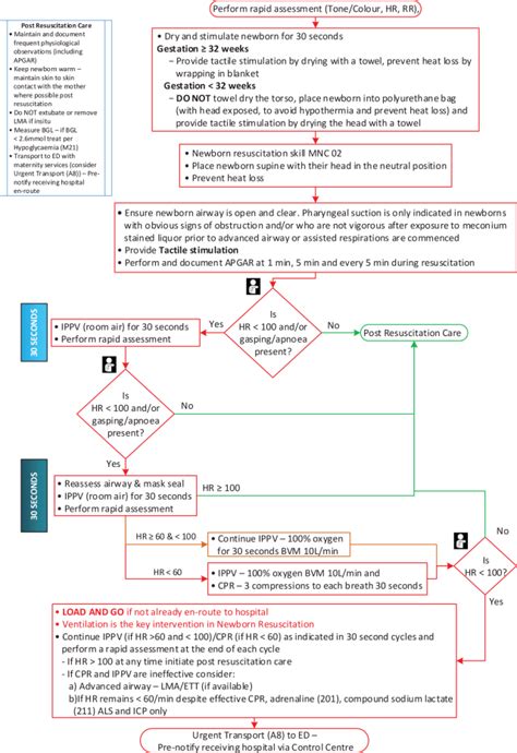 Image result for Neonatal Resus Algorithm