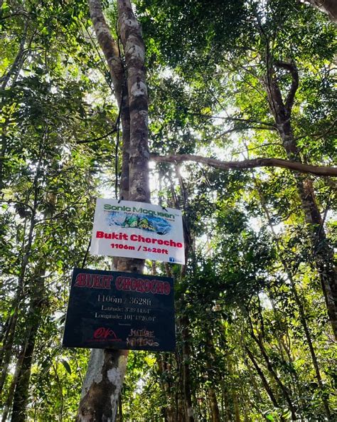 BUKIT CHOROCO (2025) All You Need to Know BEFORE You Go (with Photos ...