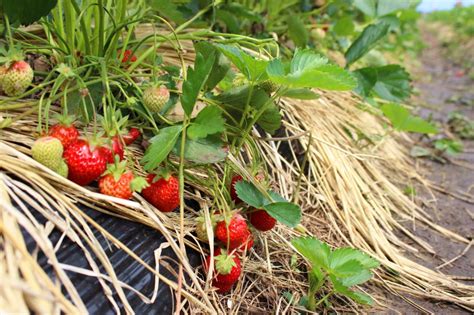 Image result for Line Structural Formula Examples