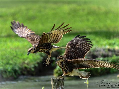 MAHAHUAL ECOTOURS (2025) All You Need to Know BEFORE You Go (with ...