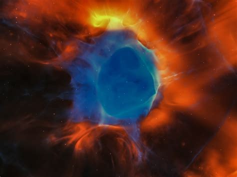 Ancient Human Evolution 的图像结果