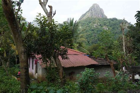 Madhu murder case: The mental health problems of Kerala’s Adivasi ...