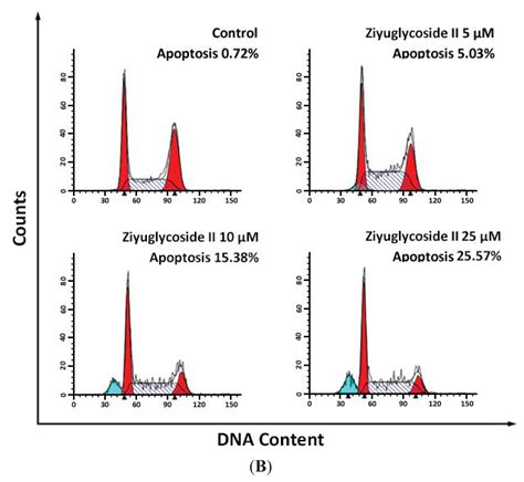 Ziyuglycoside II Inhibits the Growth of Human Breast Carcinoma MDA-MB ...