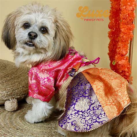 Buy Pawgypets Luxe Brocade Colour Block Lehenga Dogs and Cats online at ...