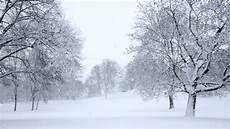 Falling Snow Image by Falling Snow Stock Footage Falling Snow Image