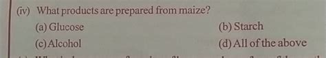 (iv) What products are prepared from maize?(a) Glucose(b) Starch(c) Al..