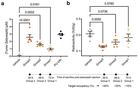 Unraveling the Mechanism of Epichaperome Modulation by Zelavespib ...