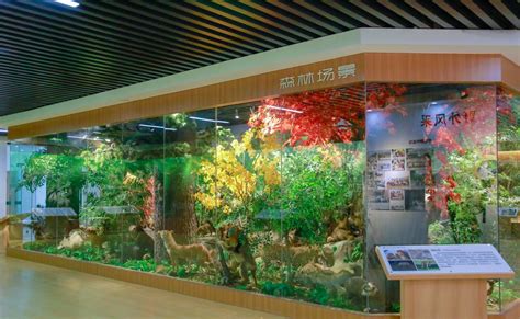 温州新闻：1000余种动物标本、80%来自温州本地 温大生环动物标本馆开馆-生命与环境科学学院