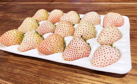 “白草莓”跻身“贵族水果”，120元/斤仍然供不应求 - 中国水果门户