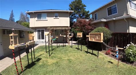 An Obstacle Course for Squirrels - Laidback Gardener