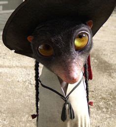 Bildresultat för rango angelique