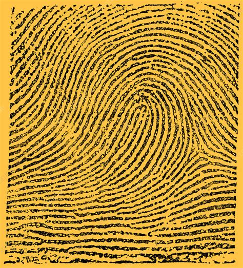 For Loop Patterns 的图像结果