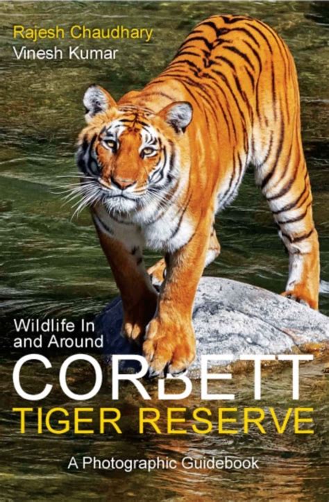Wildlife In and Around Corbett Tiger Reserve A Photographic Guidebook ...