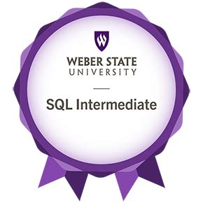 T-SQL for Intermediate SQL 的图像结果