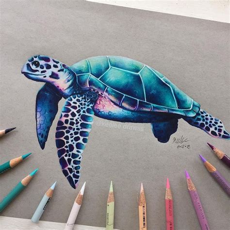 Colorful Turtle Drawing with Prismacolor Pencils on Gray Paper