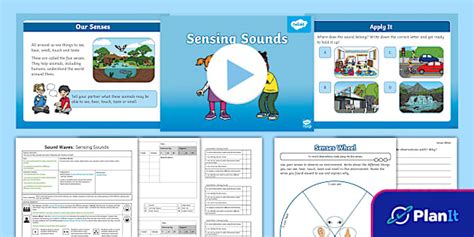 Year 2 Science Sound Waves Lesson 1 Sensing Sounds - Twinkl