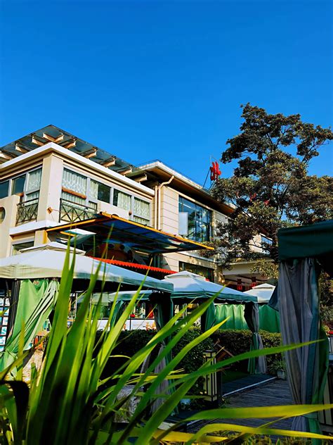 Duck!An Occupied Peking Duck Seafood Restaurant - iNEWS