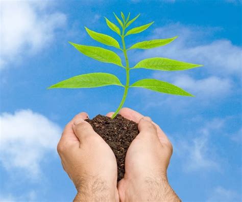 Petrobras to Use Carbon Credits for Premium Gasoline | Newsmax.com