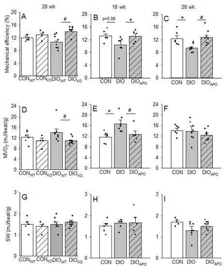 NADPH Oxidase 2 Mediates Myocardial Oxygen Wasting in Obesity