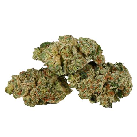 Rose D Kush Onlyfans