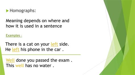 Homographs.pptx