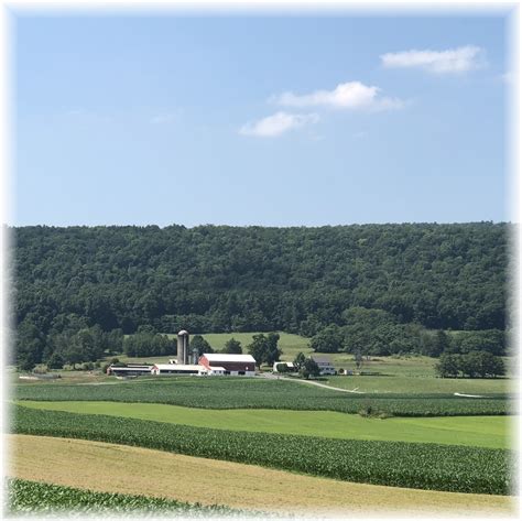 Daily Encouragement (Archive Edition)