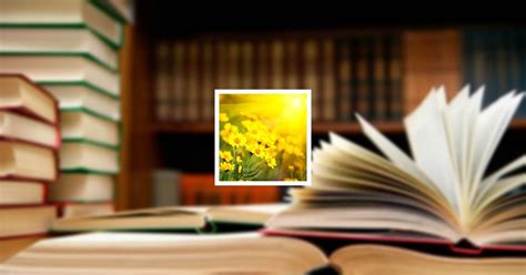 Obituary | Christine "Chris" A. Kahn of Sauk City, Wisconsin ...