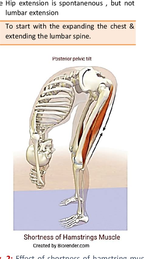 Hamstring Setting 的图像结果
