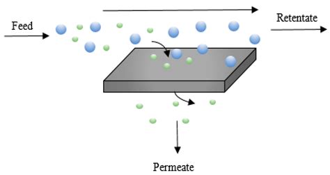 Permeate Definition