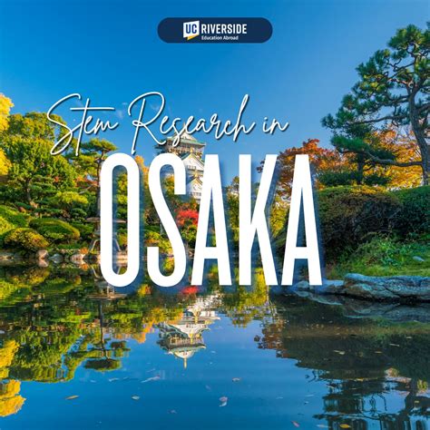 UCR Education Abroad (@ucreducationabroad) • Instagram photos and videos