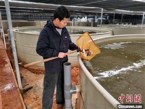 （乡村行·看振兴）江西南昌“工厂化养鱼”解锁乡村振兴新模式_腾讯新闻
