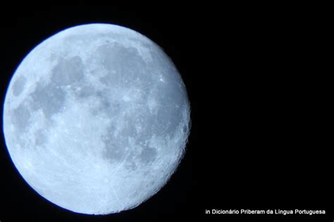 Image result for El Lua