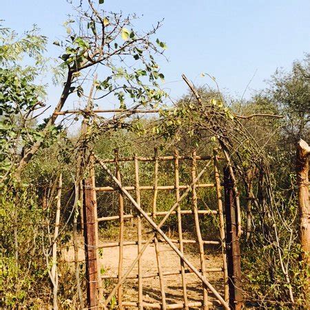 Aravali Biodiversity Park (Gurugram (Gurgaon)) - 2018 What to Know ...