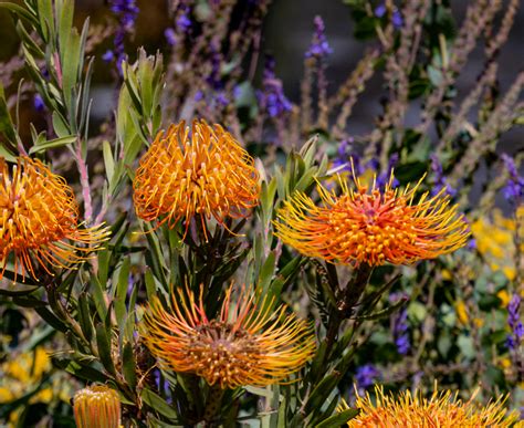 Kubota Corporation develops engines faster with high-performance computing on Azure | Microsoft Cust