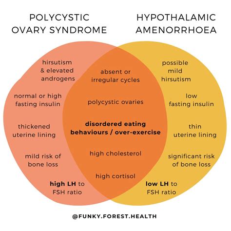 Image result for Cachexia Test