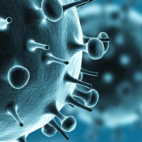 स्वाइन फ्लू के मामलों में बढ़ोतरी : केंद्रीय स्वास्थ्य मंत्रालय