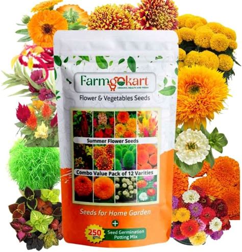 Kraft Seeds Zinnia Dahlia Flower Seeds (1 Packet, Mix 1gm) Fragrant ...