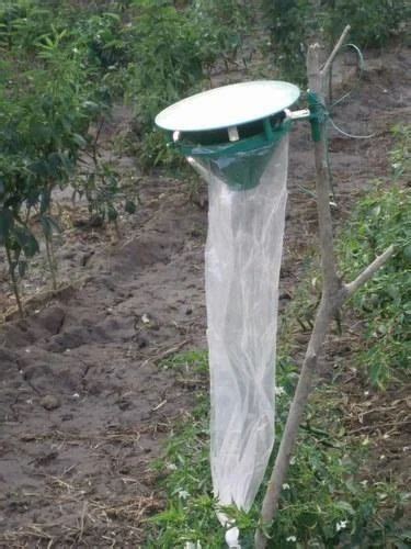 Pheromone Traps - Pheromone Funnel Traps Manufacturer from Mumbai