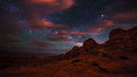 Valley Of Fire State Park At Night - wildlife in valley of fire state park