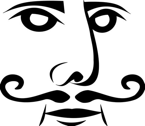 Image result for Python Royal De Face Image