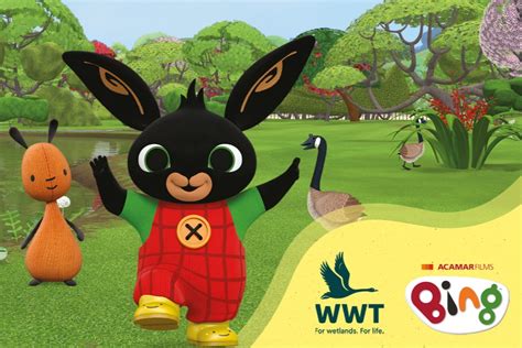 Bing Co UK 的图像结果