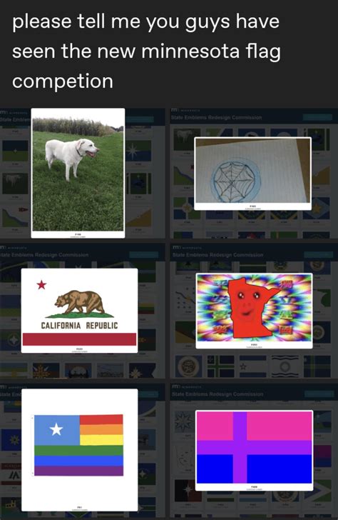 Flag(s) of Minnesota : r/vexillologycirclejerk