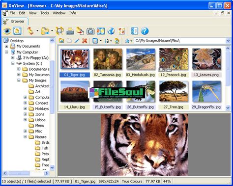 Image result for XnView Apk
