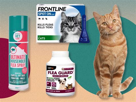 Flea Treatment Cats Countdown at Rose Thyer blog