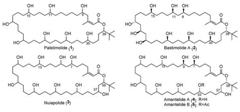 Palstimolide A: A Complex Polyhydroxy Macrolide with Antiparasitic Activity