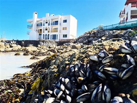 RAASWATER LANGEBAAN - Hotel Reviews, Photos, Rate Comparison - Tripadvisor