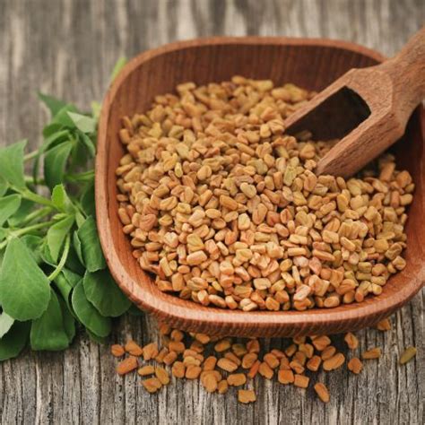Fenugreek | Sugar & Weight Management Supplements - Blisswelness ...