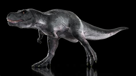 T Rex Running Animated Rigged 3D model | 3D Molier International